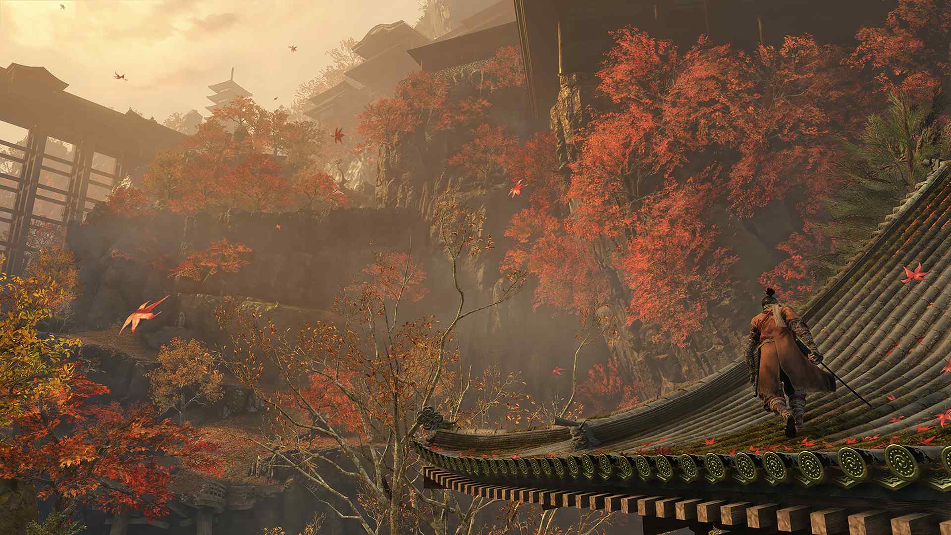 只狼:影逝二度/Sekiro: Shadows Die Twice_3