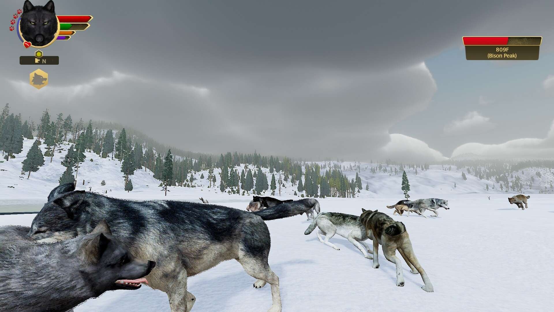 野狼谜踪:周年纪念版/WolfQuest: Anniversary Edition_2