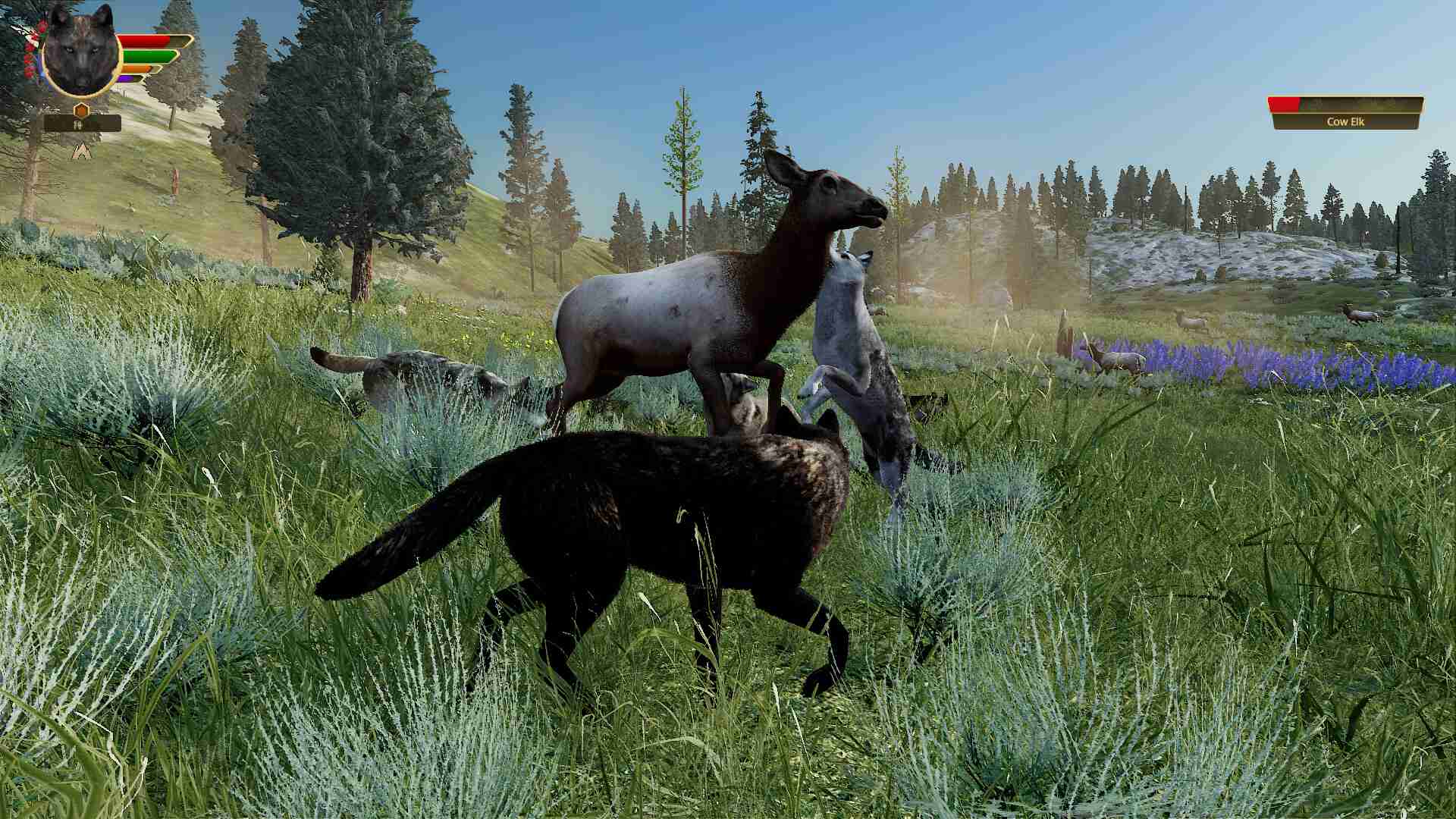 野狼谜踪:周年纪念版/WolfQuest: Anniversary Edition_4