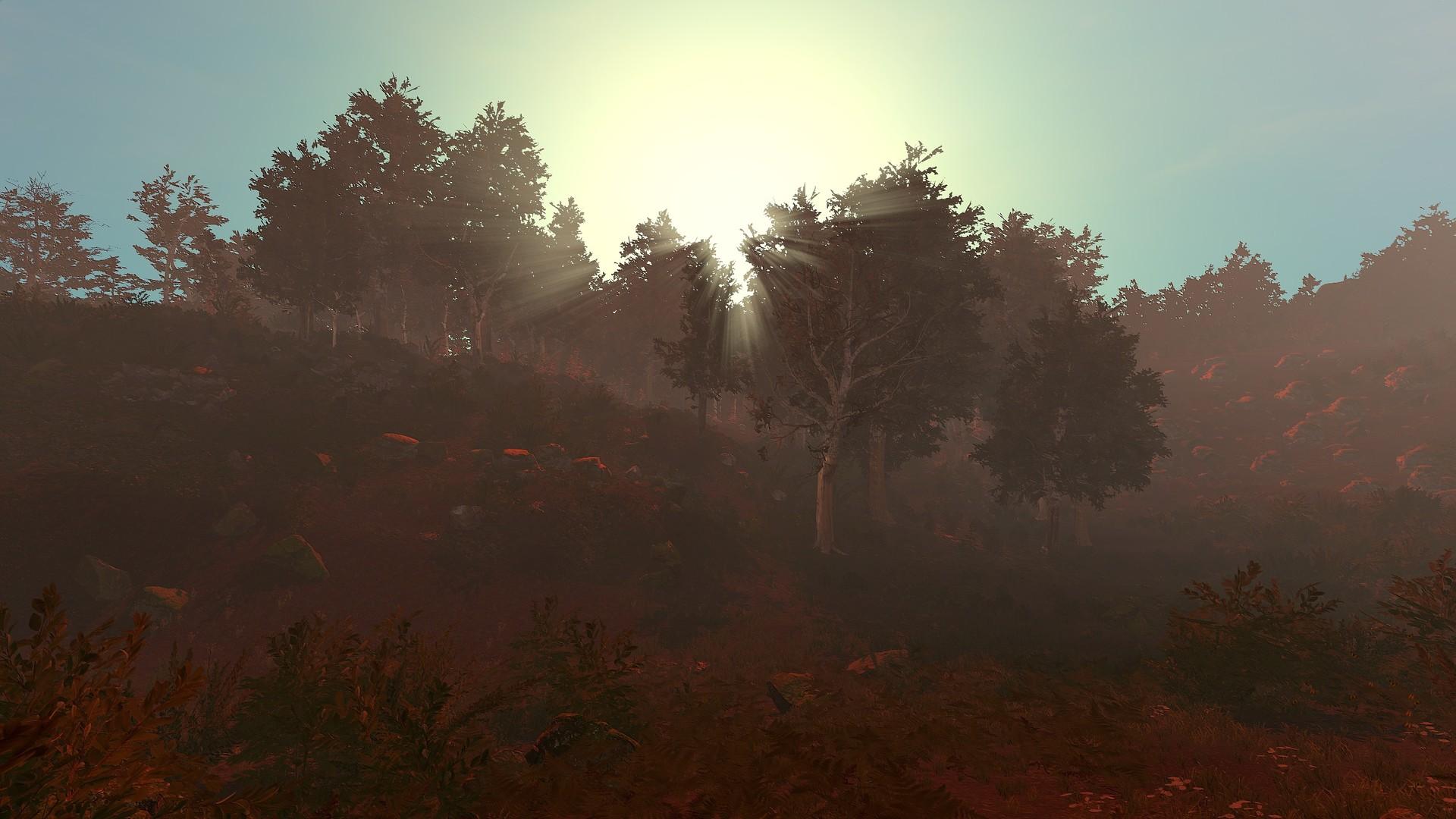 荒野的试炼/Trials of Wilderness_5