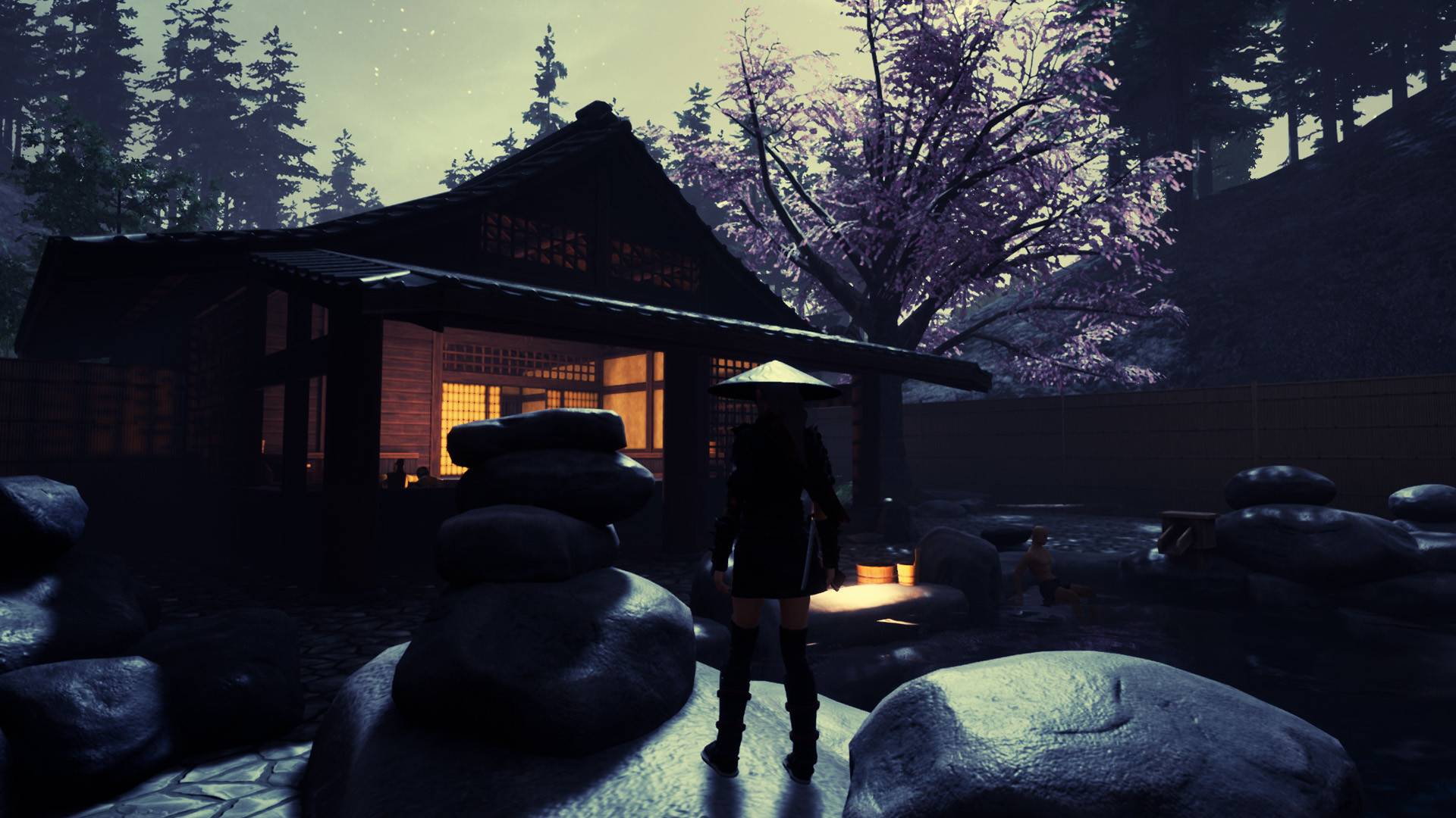 忍者传:三好家的陨落/Tale of Ninja: Fall of the Miyoshi_0