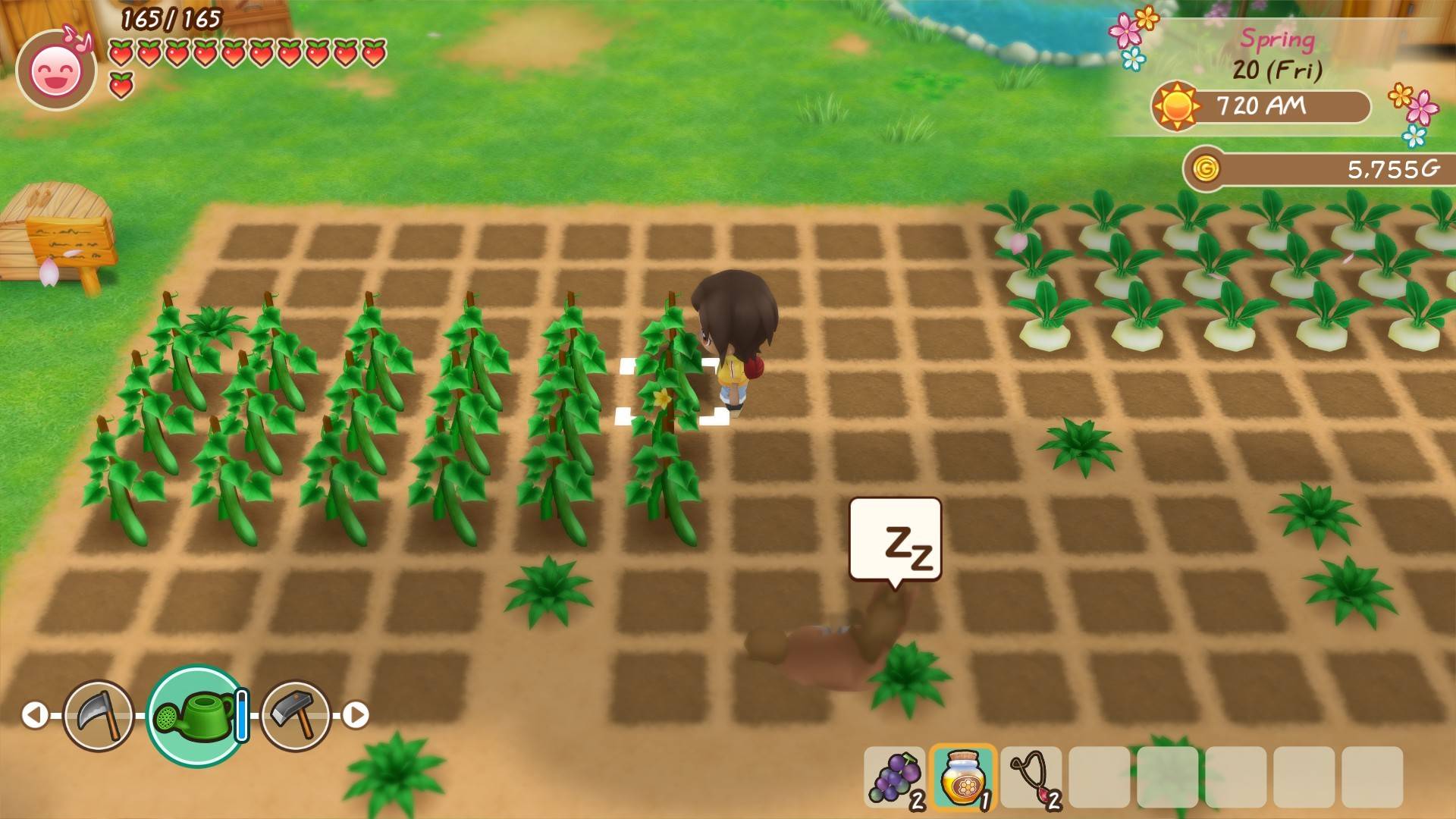 牧场物语:重聚矿石镇/STORY OF SEASONS: Friends of Mineral Town_2
