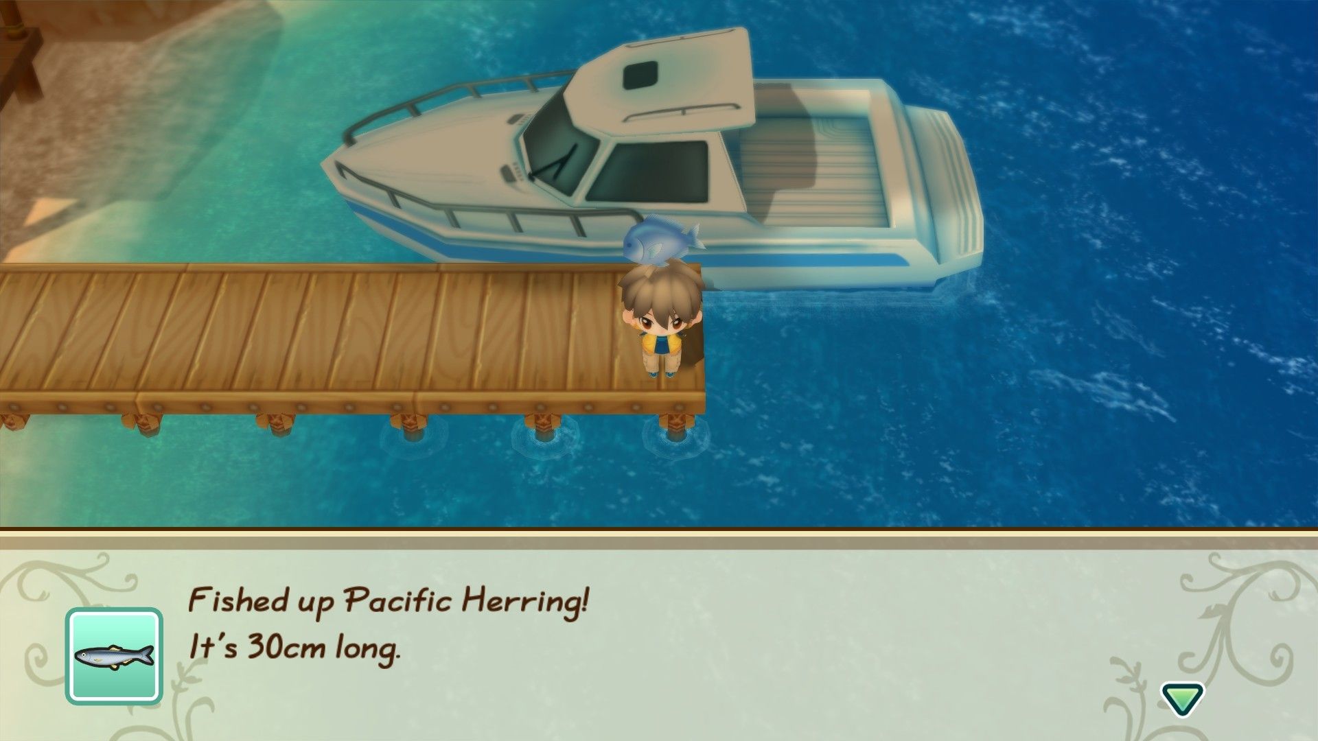 牧场物语:重聚矿石镇/STORY OF SEASONS: Friends of Mineral Town_4